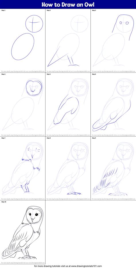 How To Draw An Owl Owls Step By Step