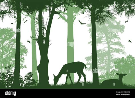 Forest Wildlife Poster Deers Silhouettes On White Background Vector