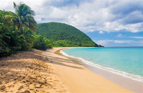 Guadeloupe Shore Excursions Guided Tours Costa Cruises