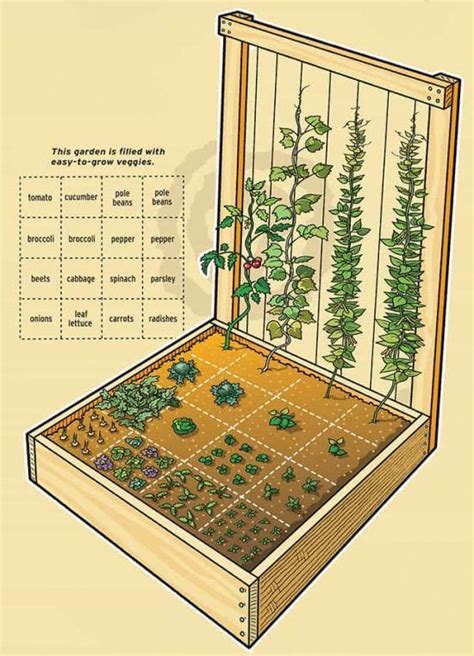 Vegetable Garden Plan Layout For Raised Beds Wantder