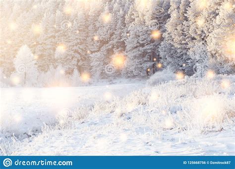 Shining Magic Snowflakes Fall On Snowy Forest In Sunlight Christmas