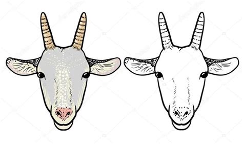 Imágenes cara de cabra dibujo Cabeza de dibujo animado de una cabra
