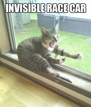 32 best funny animal pictures #funny #animals. Animal Thank You Quotes. QuotesGram
