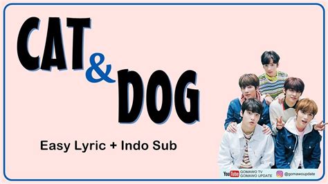 Txt Cat And Dog Easy Lyrics By Gomawo Indo Sub Youtube