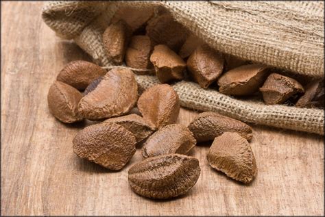 Brazil nuts are also larger than other types of nuts. The Important Health Benefits of Brazil Nuts - 8 Reasons ...
