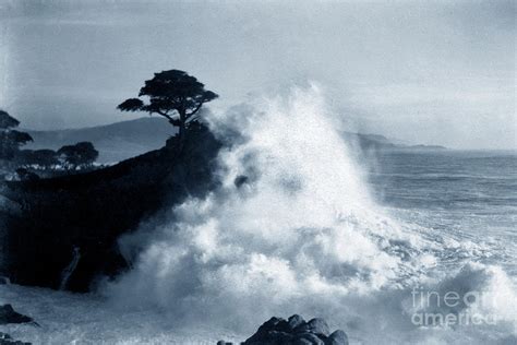 Big Wave Hitting The Lone Cypress Tree On Midway Point Pebble Beach