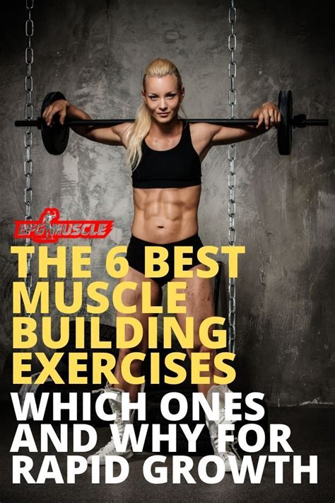 Best Muscle Building Exercises Which Exercises And Why Muscle