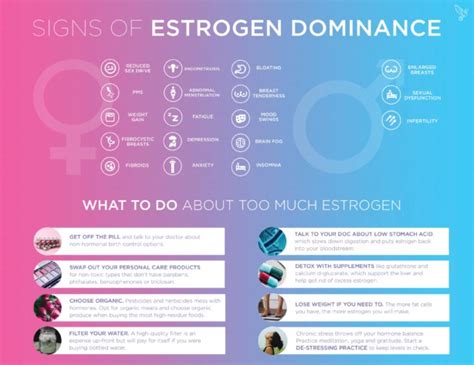 Signs Of Estrogen Dominance And How To Fix It