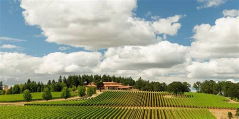 The Top 10 Best Wineries To Visit In Oregon Winerist Magazine
