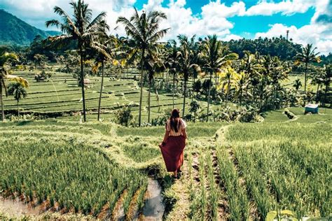 7 Day Bali Itinerary Where To Go And What To Do