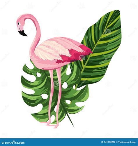 Tropical Flamingo Cartoon Stock Vector Illustration Of Graphic 141730202