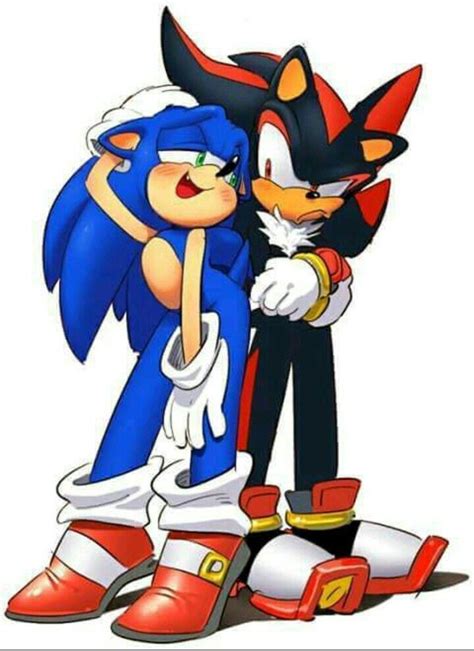 Silver The Hedgehog Shadow The Hedgehog Hedgehog Art Sonic The