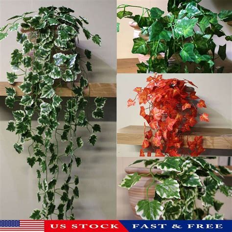 We did not find results for: Artificial Trailing Ivy Garlands Vine Plant Garden Wedding ...