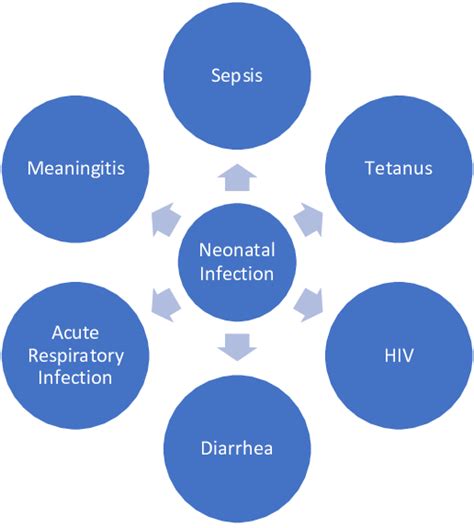 Disease Due To Neonatal Infections Download Scientific Diagram