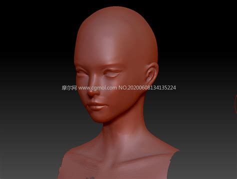 Zb女角色头部标准高模ztl格式模型次时代游戏角色模型下载 摩尔网cgmol