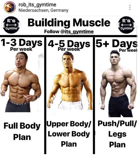 building muscle plan depending in how many days a week u plan to hit the gym workout plan for