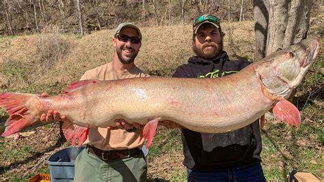 Pike Record