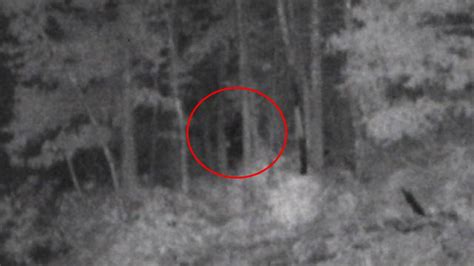 Did Men Capture Photo Of A Bigfoot By North Carolina Lake Sacramento Bee
