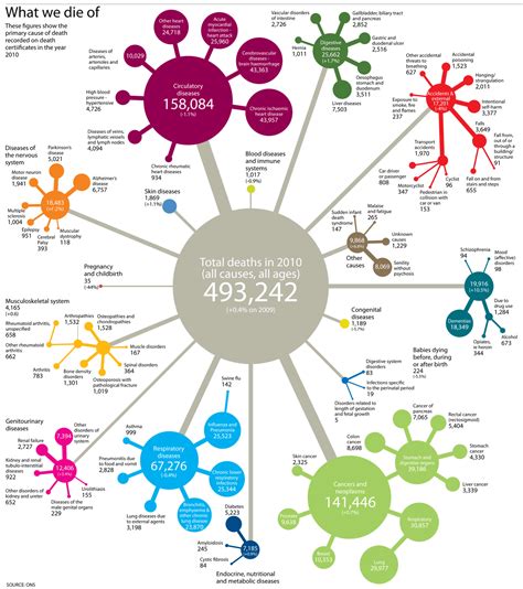 Mortality statistics: every cause of death in England and Wales, visualised | Datablog | News ...