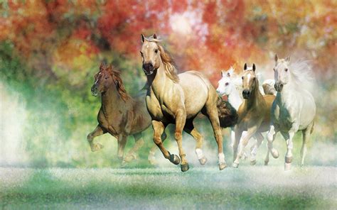 Galloping Horses For Desktop Wallpapers 2560x1600
