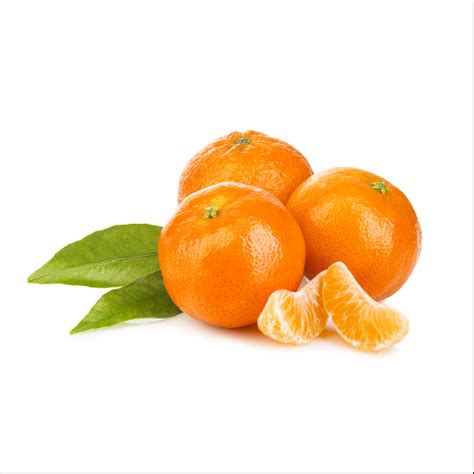 Florida Clementine Tangerine Trees For Sale Backyard Citrus Trees