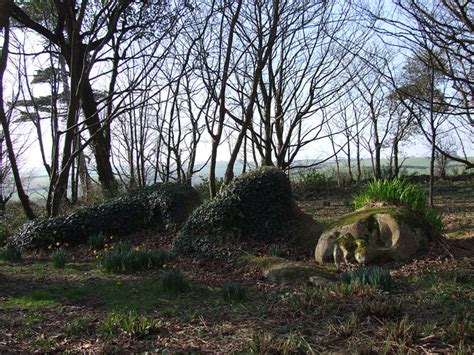 Make a mud pie by just baking a pie and putting mud into it! photo