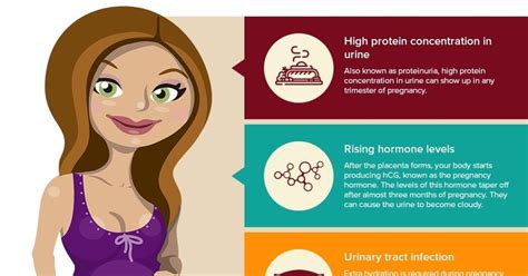 Cloudy Urine During Pregnancy Infographic