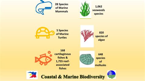 Coastal And Marine Protected Areas Philippine Clearing House Mechanism