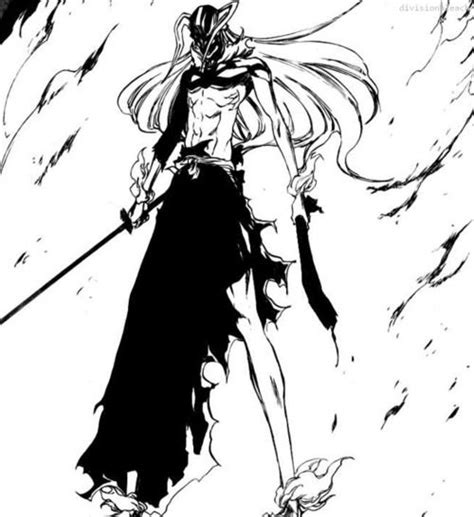 Anime Bleach Character Name Ichigo Kurosaki Hollow Bleach Manga