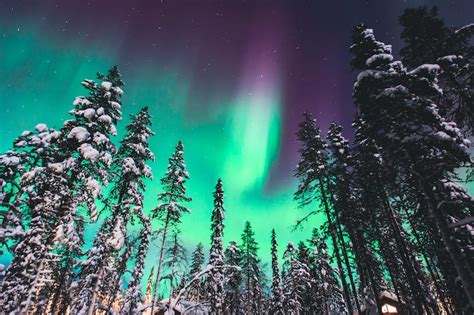 How To See The Northern Lights In Rovaniemi Best Tours Tips