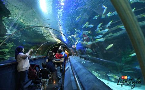 Aquarium klcc sprawls over a 60,000 square foot space and you can find it right in the heart of the kuala lumpur city centre. Win tickets for a good, fun time at Aquaria KLCC | Free ...
