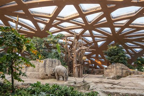 Elephant House Zoo Zürich Markus Schietsch Architekten Archdaily