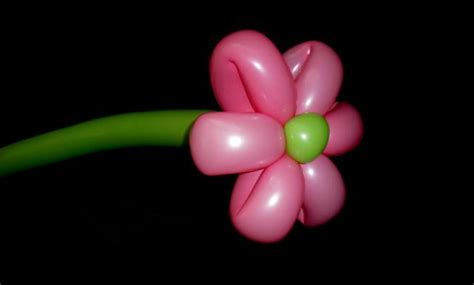 Instructions For Creating A Flower Balloon