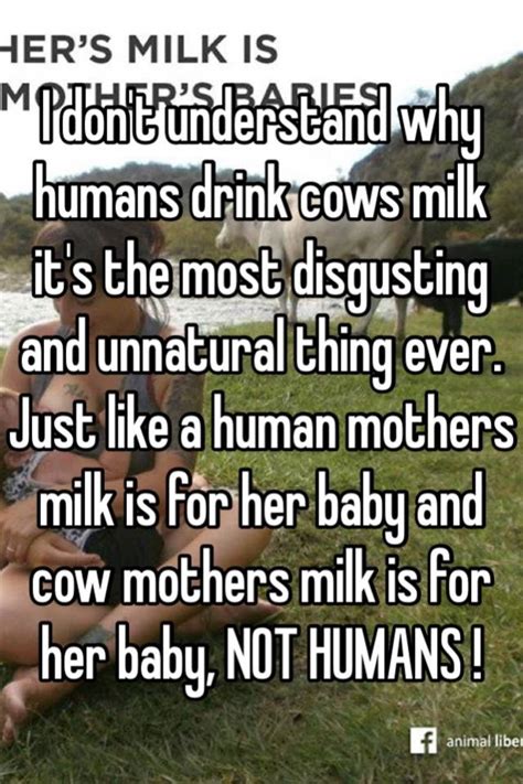 I Dont Understand Why Humans Drink Cows Milk Its The Most Disgusting