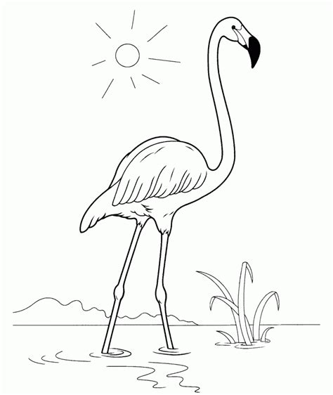 Ausmalbilder Kostenlos Flamingo Best Style News And Inspiration