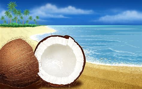 Coconut Wallpapers Wallpaper Cave