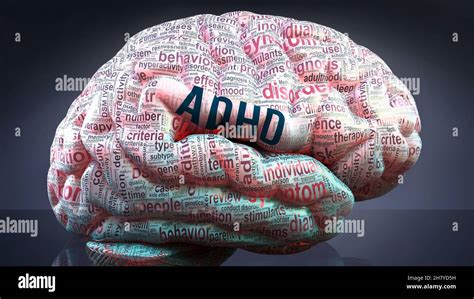 Adhd In Human Brain Hundreds Of Crucial Terms Related To Adhd