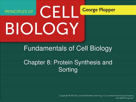 Ppt Fundamentals Of Cell Biology Powerpoint Presentation Free