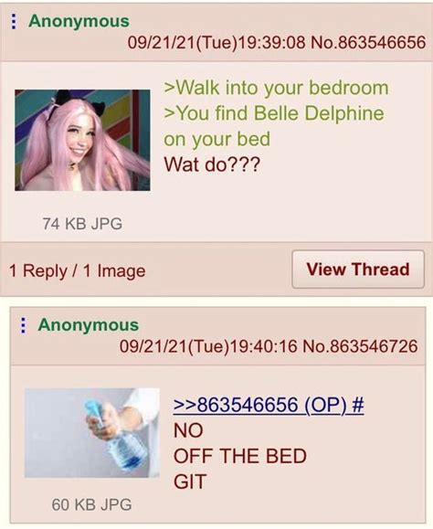 Anon Isnt A Simp Rgreentext Belle Delphine Know Your Meme