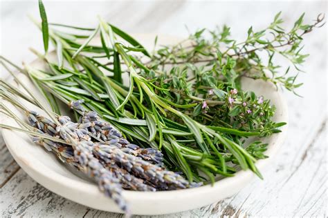 The Healer Herb Thyme Benefits Uses And Side Effects
