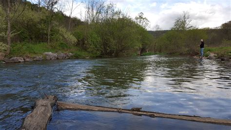 Maybe you would like to learn more about one of these? Central PA's Canoe Creek Stuffed with Trout - Pautzke Bait Co