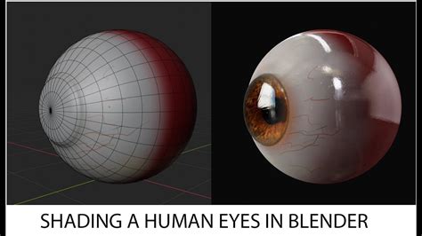 How To Shade A Human Eyes In Blender Cycles Youtube