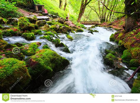 Autumn Landscape With Mountain River Flowing Among Mossy Stones Through