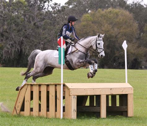 Coming Back Tales From A Bad Eventer