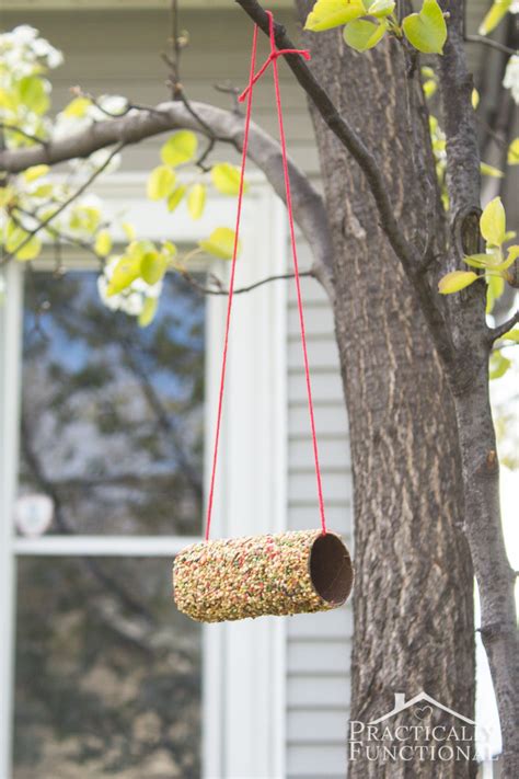 How To Make A Toilet Paper Roll Bird Feeder