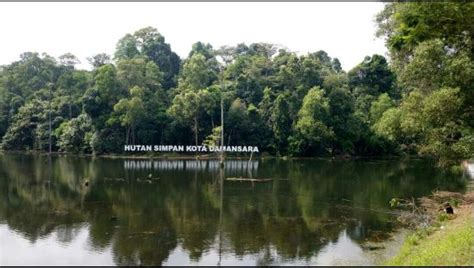 Encontre imagens stock de entrance kota damansara community forest kdcf em hd e milhões de outras fotos, ilustrações e imagens vetoriais livres de direitos na coleção da shutterstock. Kota Damansara Community Forest Reserve (Kuala Lumpur ...