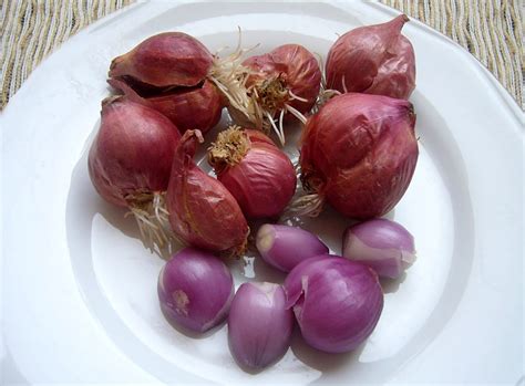 Manfaat bawang putih juga ampuh menjaga kesehatan keluarga di rumah, lho! MUNGKOPAS: 6 Khasiat Makan Bawang Merah Mentah