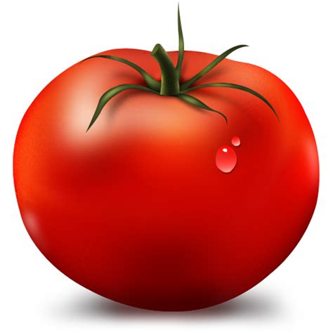 Collection Of Tomato Hd Png Pluspng