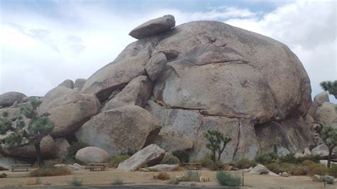 Cap Rock Joshua Tree National Park All You Need To Know Before You