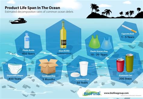 Product Life Span In The Ocean Biofina Ocean Weather And Climate